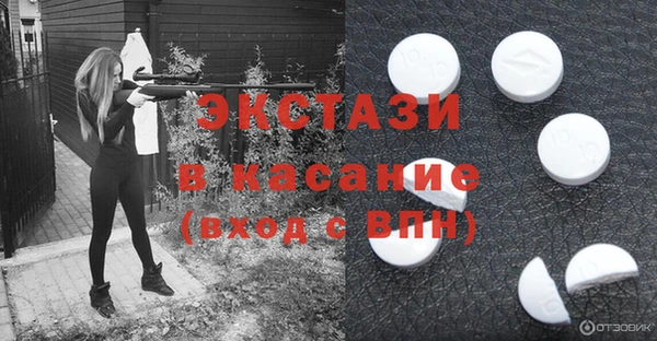 apvp Каменка