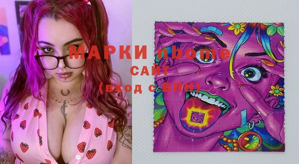 apvp Каменка