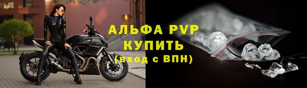 apvp Каменка