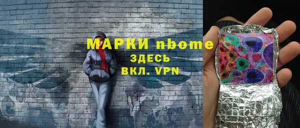 apvp Каменка