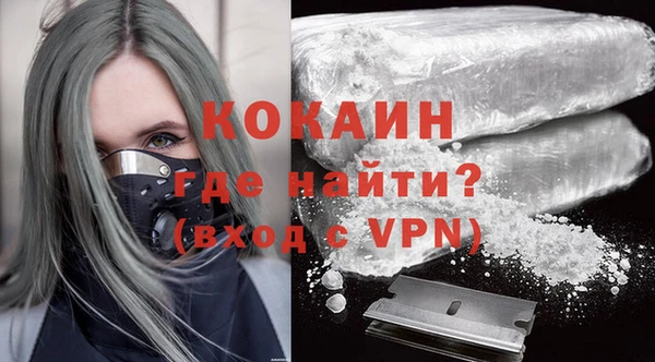 apvp Каменка