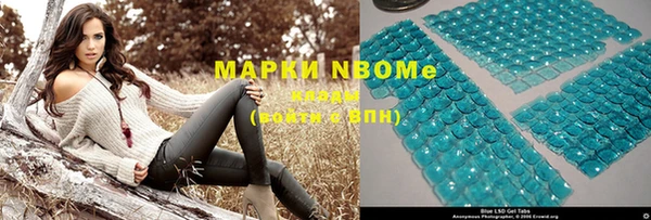 apvp Каменка