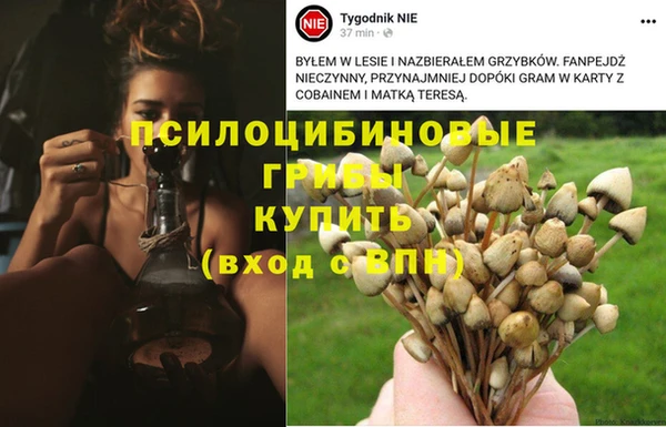 бутират Каменск-Шахтинский