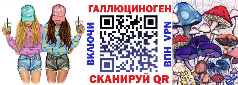 Галлюциногенные грибы Psilocybe  магазин    Петров Вал 