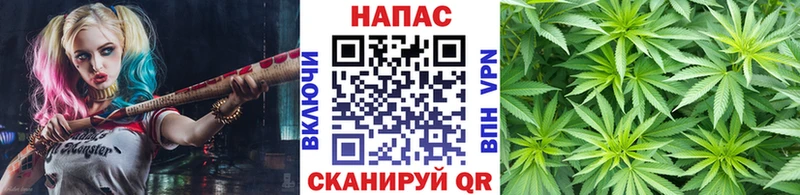 omg зеркало  Петров Вал  Конопля конопля 